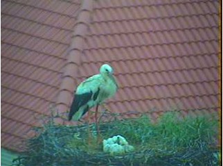 2010-05-31_080421.jpg