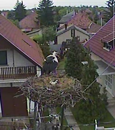 2010-05-31_191238.jpg