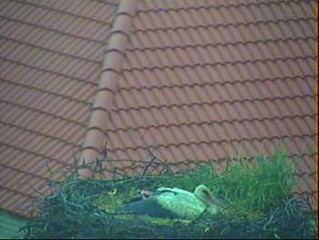 2010-06-01_081516.jpg