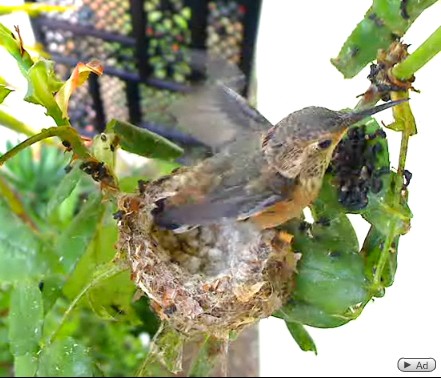 2010-06-01_201235.jpg