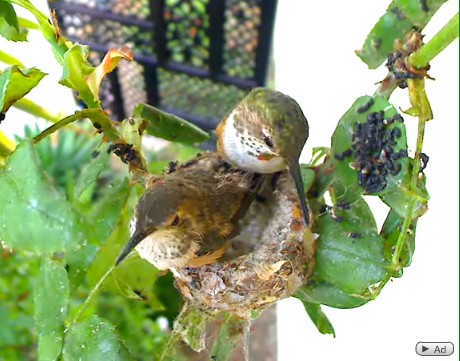 2010-06-01_201533.jpg
