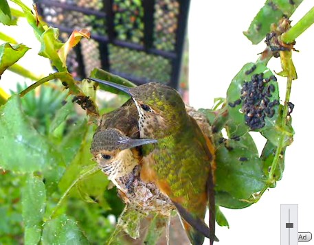 2010-06-01_201504.jpg