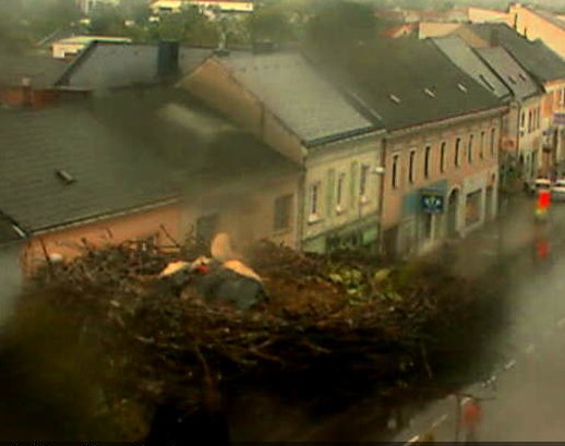 2010-06-02_090804.jpg