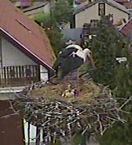 2010-06-02_111635.jpg