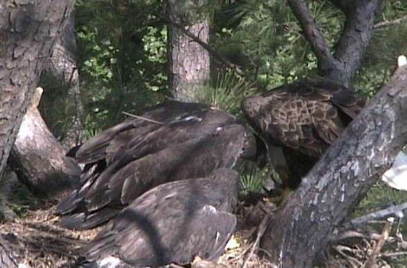 2010-06-02_113759.jpg