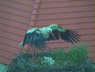 2010-06-02_160207.jpg