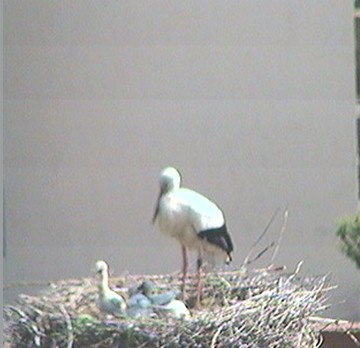 2010-06-02_183602.jpg