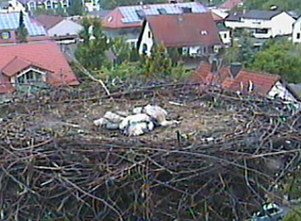 markt.jpg