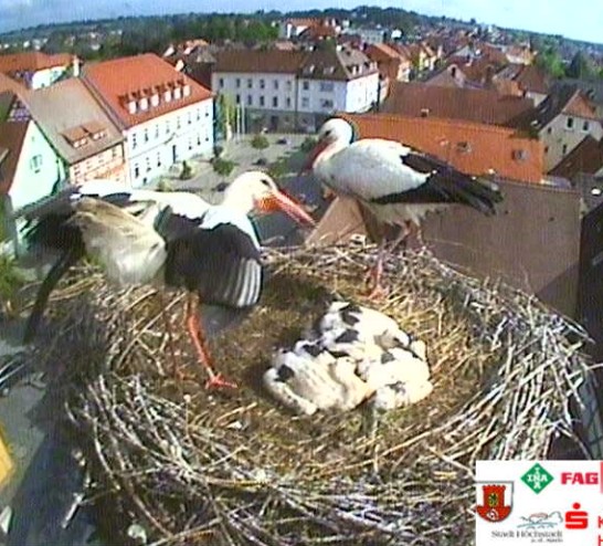 höchstadt3.jpg