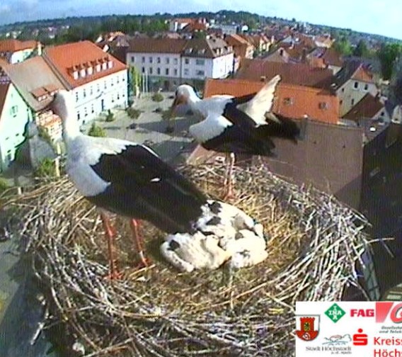 höchstadt2.jpg