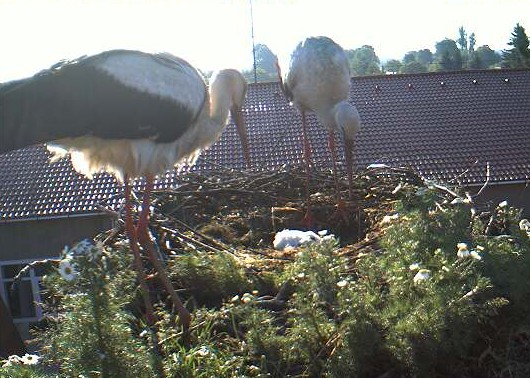 2010-06-06_065855.jpg