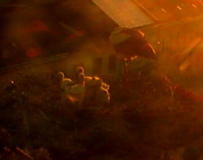 2010-06-06_200647.jpg