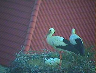 2010-06-06_204521.jpg