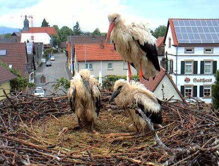 2010-06-06_210209.jpg