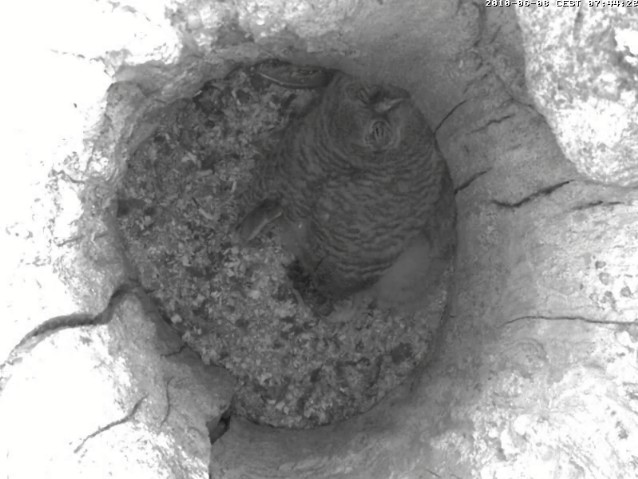 2010-06-08_064436.jpg