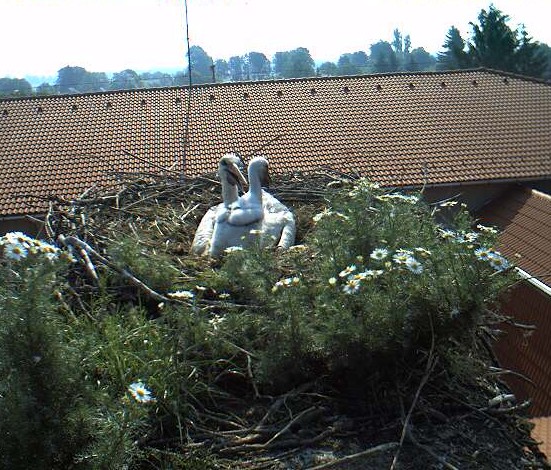 2010-06-08_083254.jpg