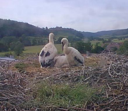 2010-06-08_183224.jpg