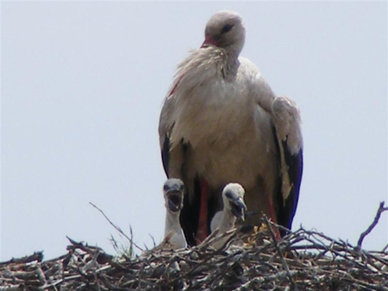 DSCF5359 (Medium).JPG
