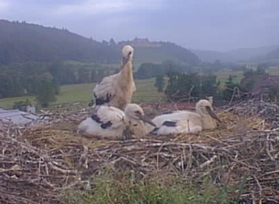 2010-06-10_075607.jpg