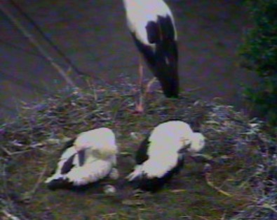 2010-06-10_083135.jpg