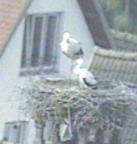 2010-06-10_092554.jpg
