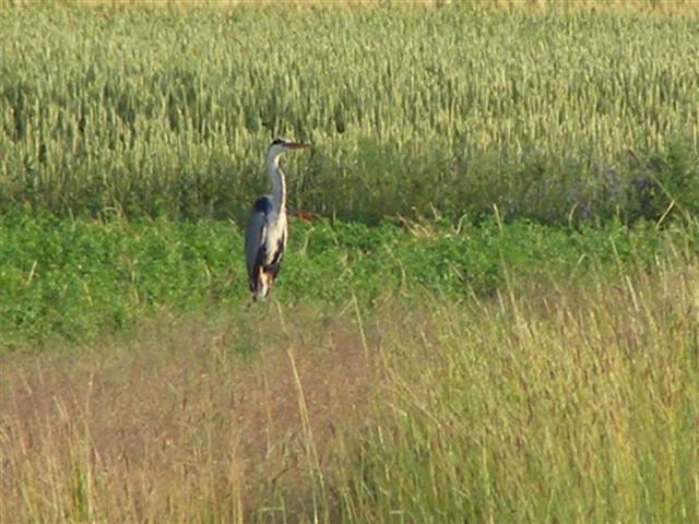 DSCF0827 (Small).JPG