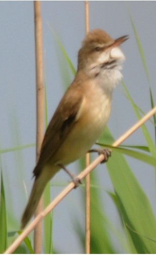 2010-06-13_205924.jpg