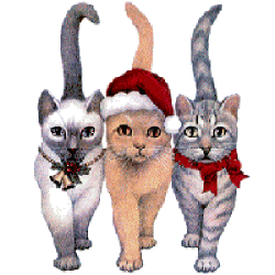 cats208.gif