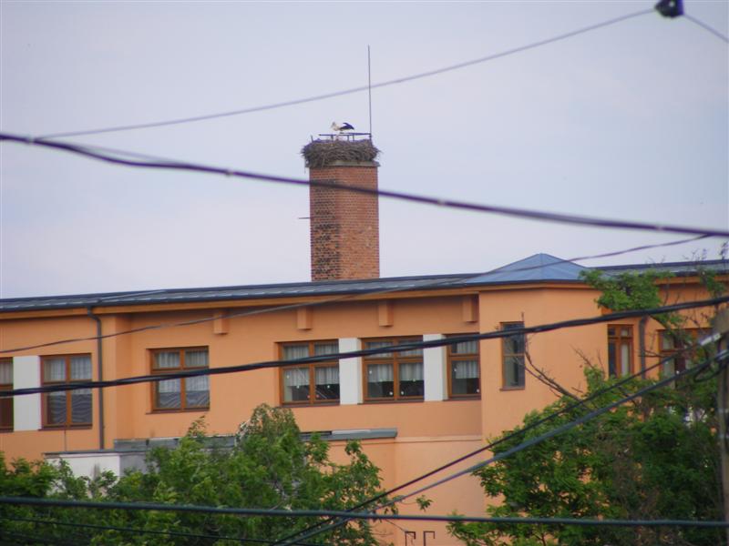 DSCF5365 (Medium).JPG