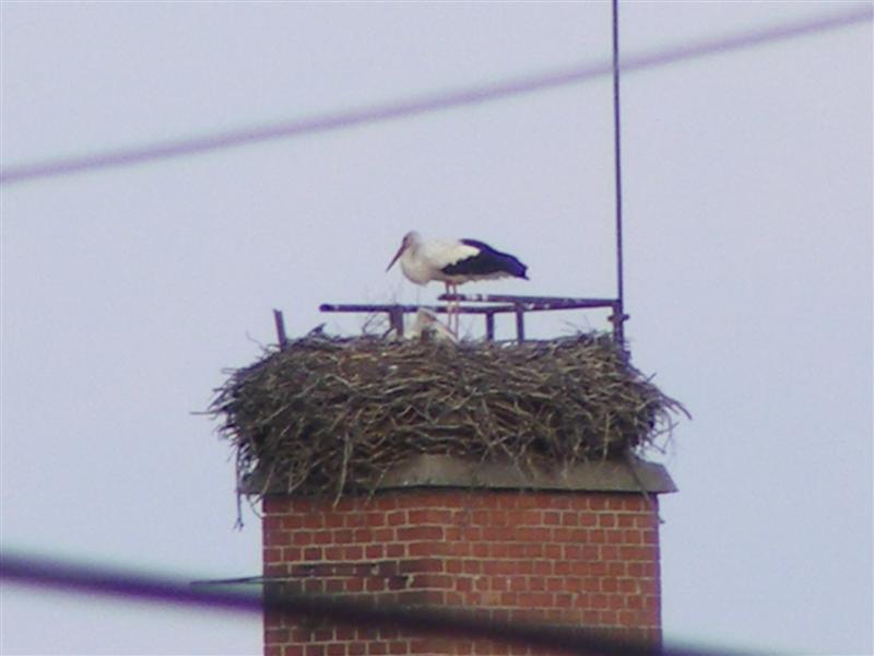 DSCF5364 (Medium).JPG