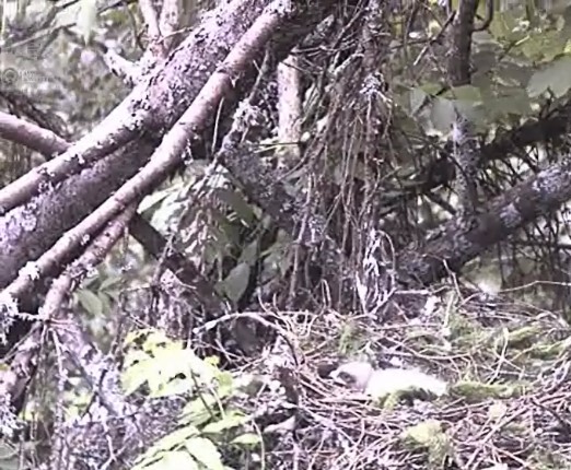 2010-06-16_073611.jpg