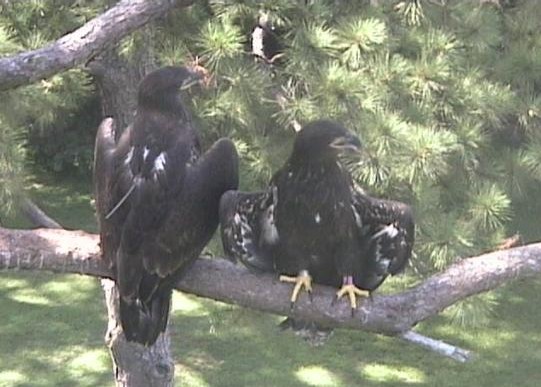 2010-06-16_224601.jpg