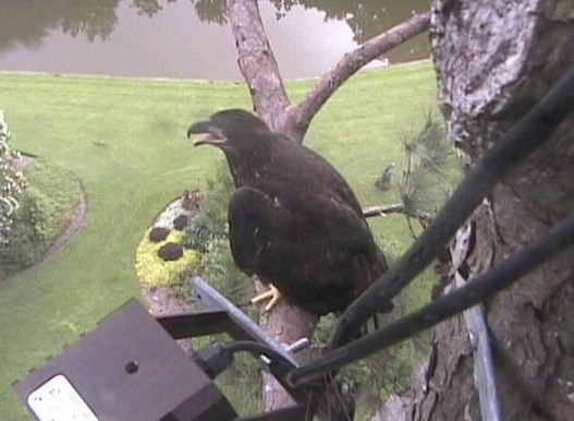 2010-06-16_225040.jpg