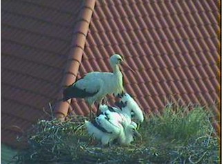 2010-06-17_181052.jpg