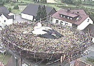 2010-06-18_080105.jpg