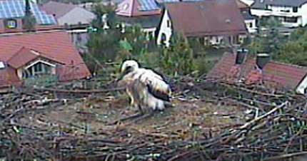 2010-06-19_171038.jpg