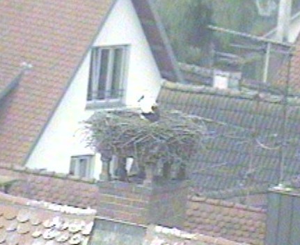 2010-06-20_091317.jpg
