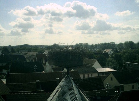 2010-06-20_093423.jpg