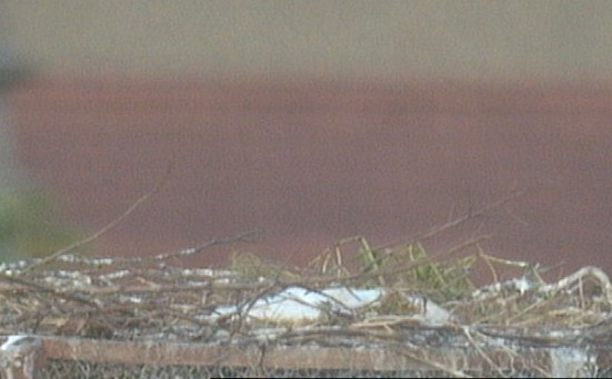 2010-06-20_200646.jpg