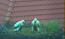 2010-06-21_102314.jpg