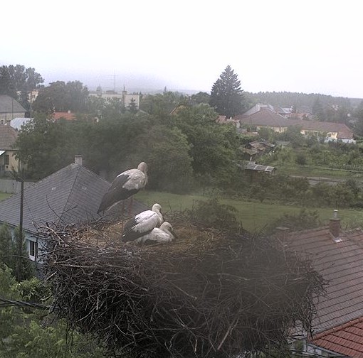 2010-06-21_102851.jpg