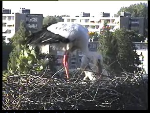 beleef de lente2.jpg