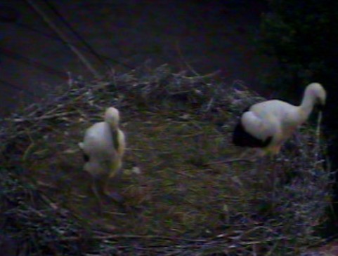 2010-06-23_213722.jpg
