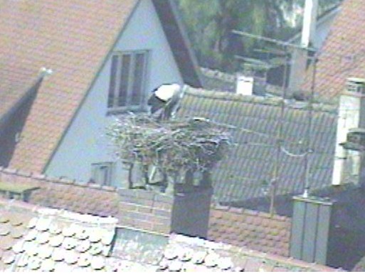 2010-06-24_084308.jpg