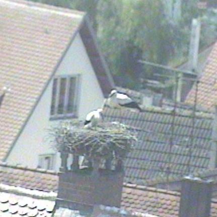 2010-06-24_120425.jpg