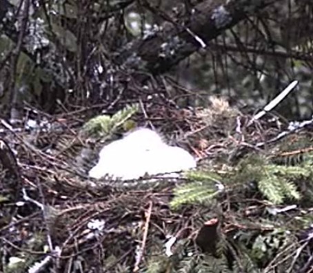 2010-06-25_062543.jpg