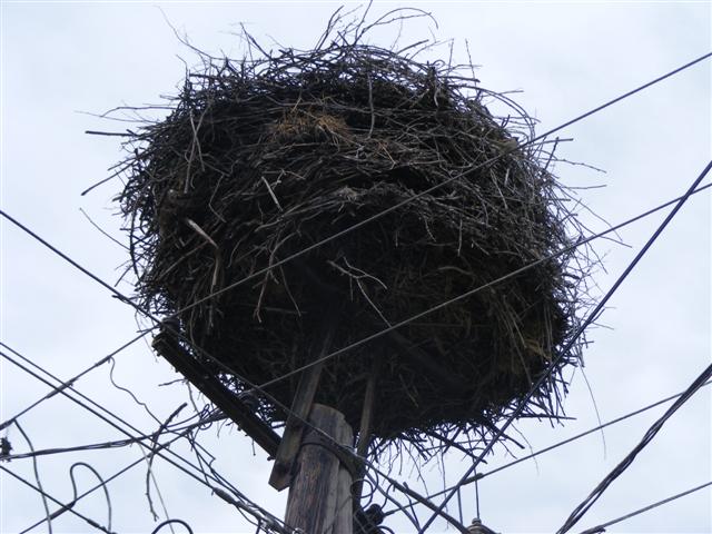 DSCF1168 (Small).JPG