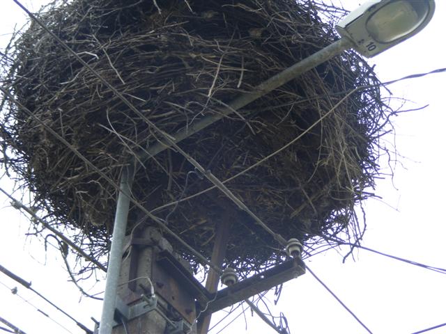 DSCF1160 (Small).JPG
