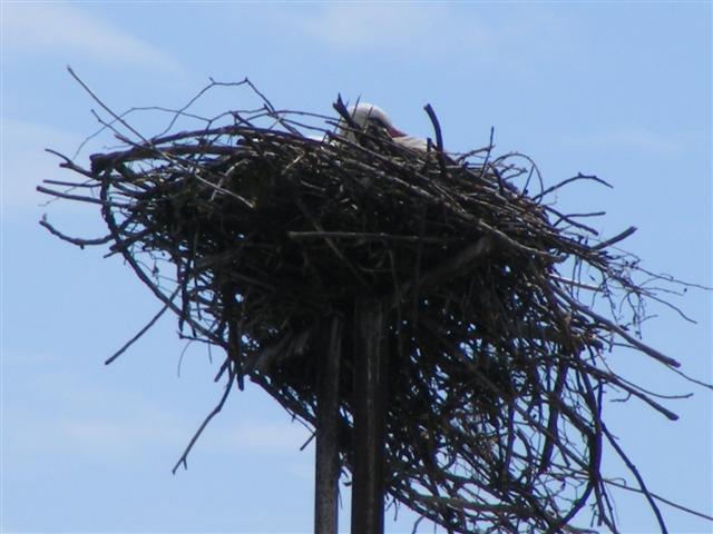 DSCF1201 (Small).JPG