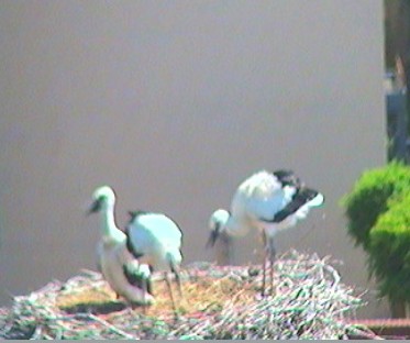 2010-06-27_155230.jpg
